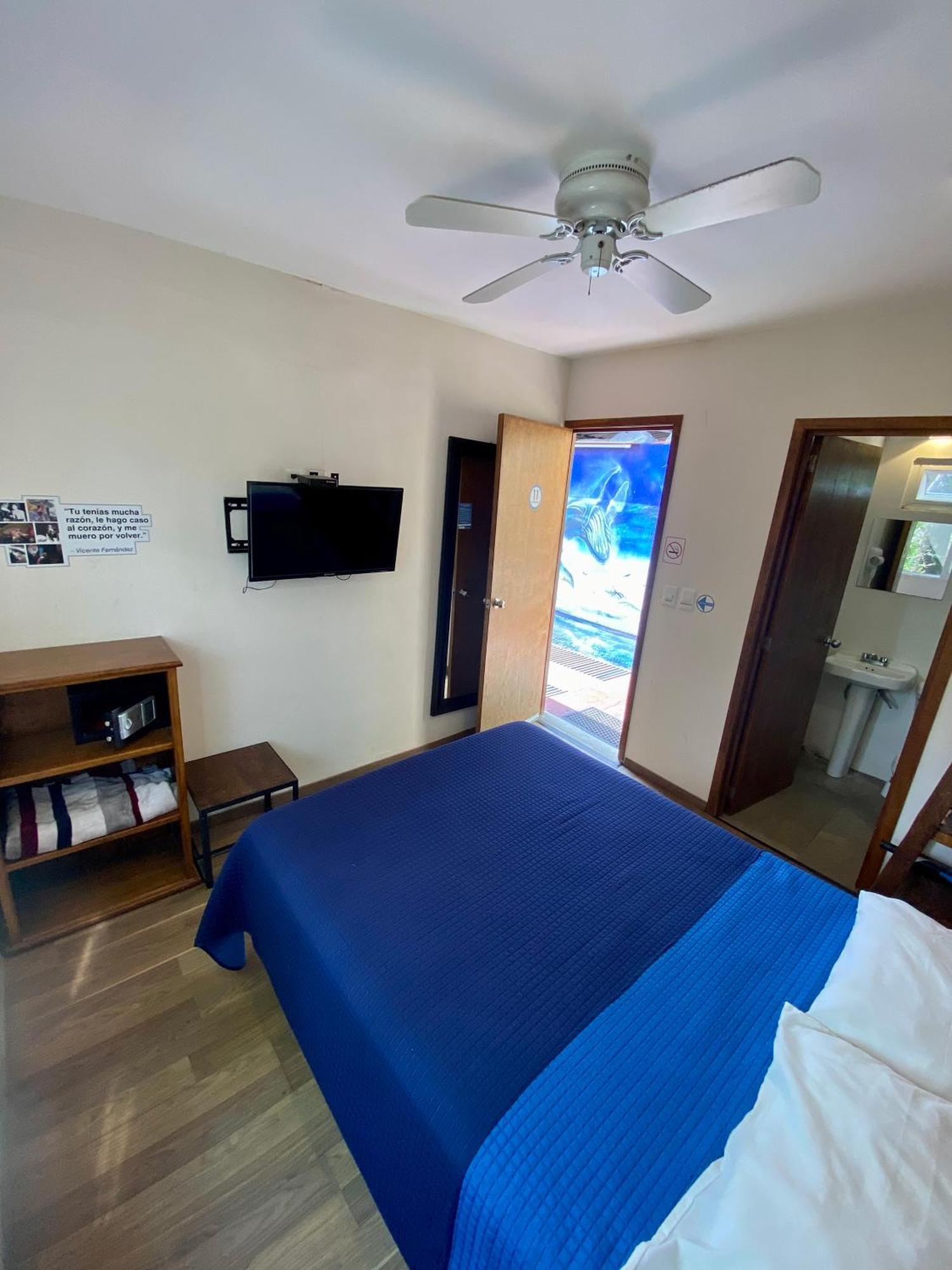 Hostel Hospedarte Chapultepec Guadalajara Dış mekan fotoğraf